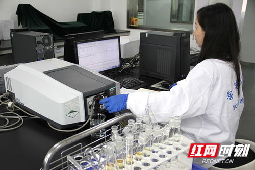 常德水文中心推出灌區水質監測服務，水資源管理網絡技術再添新翼